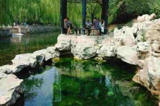 扬中济南旅游攻略(青岛威海济南旅游攻略)