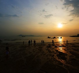 扬中厦门旅游攻略(厦门旅游攻略自由行最佳线路6天)