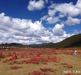 扬中旅游去处(暑期最好的旅游去处)