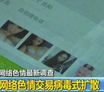 扬中上海伴游 伴游女郎白天陪玩晚上陪睡 网络跑火日薪过万(图)