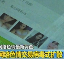 扬中上海伴游 伴游女郎白天陪玩晚上陪睡 网络跑火日薪过万(图)