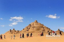 扬中旅游图片大全(跟团旅游图片大全)