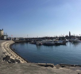 扬中大连旅游攻略(大连旅游攻略自由行)