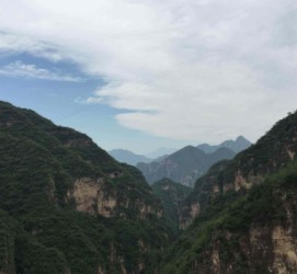 扬中伴游中国伴游城(伴游网上海)