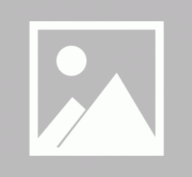 扬中私人伴游 黄金周里动“黄”经 天津又现“私人陪游”逆流