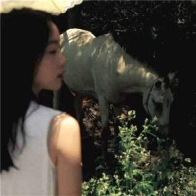 扬中私家伴游让你拥有一次完美的旅游体验
