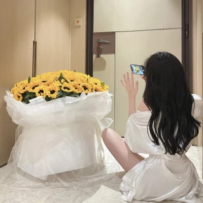 扬中商务伴游带客户畅游北京故宫,感受千年文化